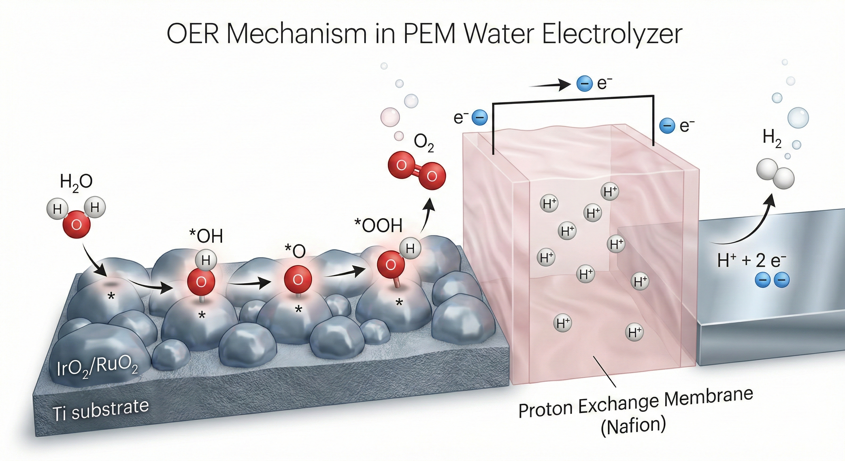 OER Reaction